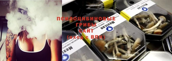трава Протвино