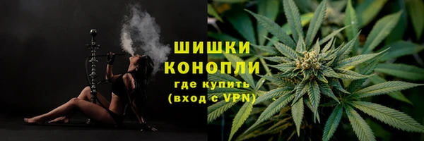 трава Протвино