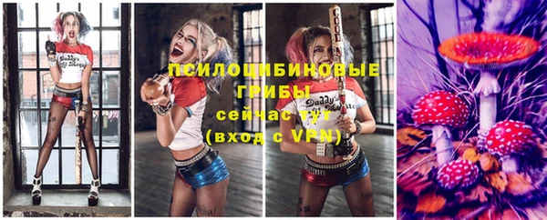 мет Приозерск